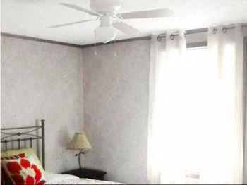 Ceiling fans